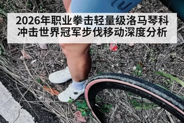 2026年职业拳击轻量级洛马琴科冲击世界冠军步伐移动深度分析